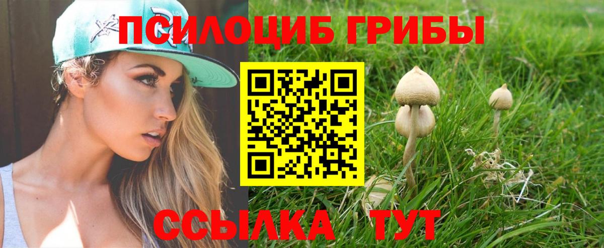 Азнакаево  Псилоцибиновые грибы мицелий  Вход с VPN 